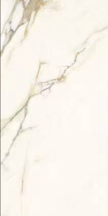 Time Dorado Matte 12 x 24